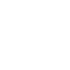 helmes_Logo_weiss 3